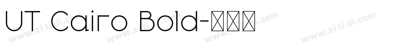 UT Cairo Bold字体转换